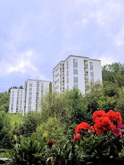 Na prenájom zrekonštruovaný a vybavený 3-izbový byt – Žarec