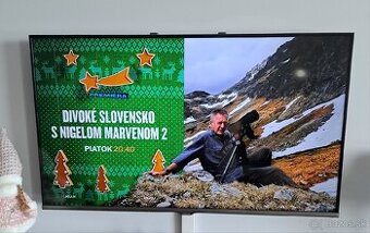 Televizor LED SAMSUNG