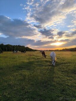 Ponúkame Ustajnenie