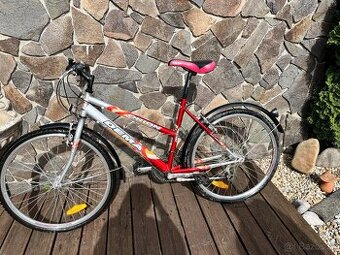 Dámsky bicykel