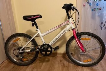 Bicykel 20