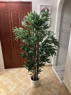 Umelý bambus aj s črepníkom 160 cm vysoký
