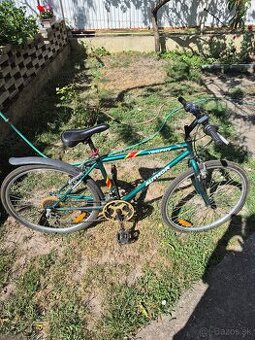 Bicykel author