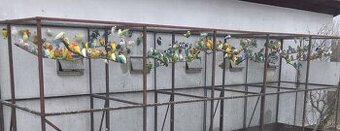 Agapornisy fischeri a škraboškové