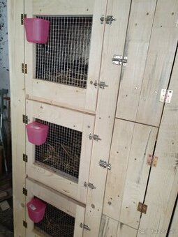 Kralikareñ,zajacienec.