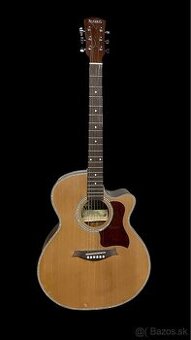 AKUSTICKÁ GITARA MARRIS  J - 220C
