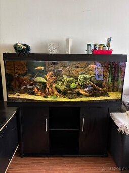 Kompletné zariadené akvárium 500 l so skrinkou a tech.