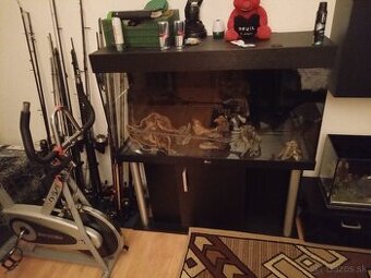 Akvárium 280l. Plus stolík diversa