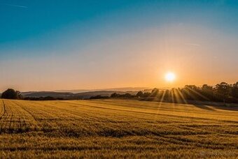 Vyšné Remety - 4.001 m2 POZEMKY v pozemkových úpravách