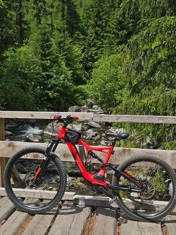 Specialized Turbo Levo