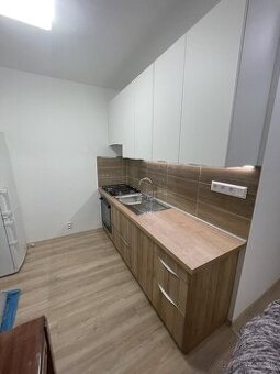 Prenájom 1 izbového bytu