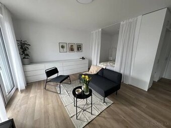 Prenajom 1,5 izboveho bytu