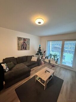 Prenajmem /aj kratkodobo/ nový 2izb.byt v centre Nitry