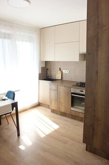 Prenájom 1-izbový byt Stred