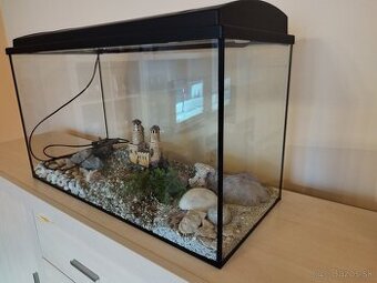Akvarium