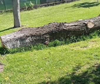 Predám čerešňove drevo