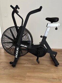 Air Bike Rogue Echo Bike V3.0