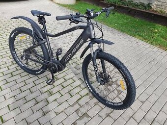 Ebike Cruisis