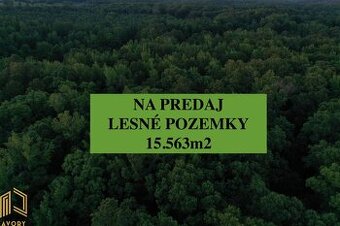 LESNÉ POZEMKY 15.563m2, BORSKÝ MIKULÁŠ, okr. SENICA
