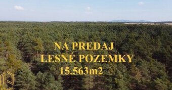 LESNÉ POZEMKY 15.563m2, BORSKÝ MIKULÁŠ, okr. SENICA