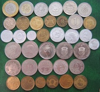 mince africká a ázijska arábia