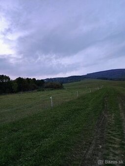 Rekreačný pozemok - 1