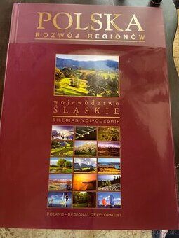 POLSKA rozwój regionów, województwo ŚLASKIE