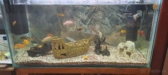 Predám akvárium aj z rybkami alebo bez.