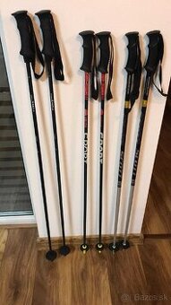 Lyžiarske palice