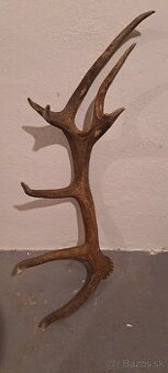 Zhody,trofeje