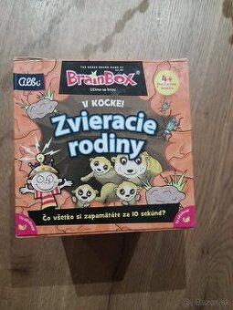 Brain box