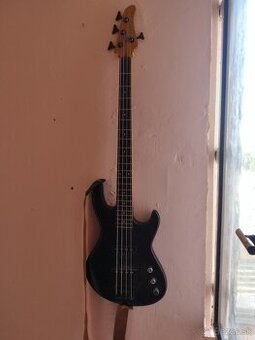 Naša gitara