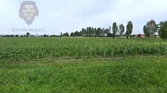 Na predaj pozemok v obci Tomašikovo.