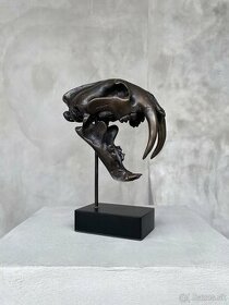 Bronzová lebka šabľozubého tigra, 20cm - 1
