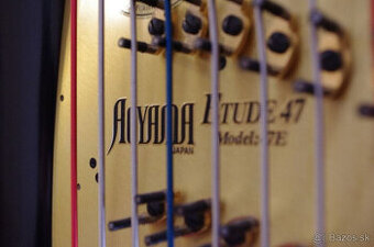 Clive Morle Aoyama Eue 4-strunova koncertna pedalova har