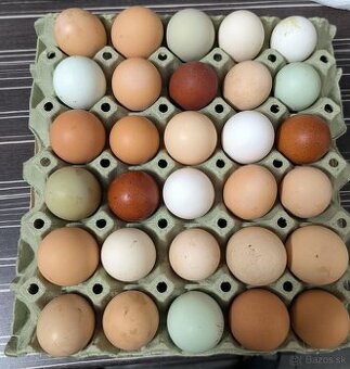 Predám nasadove vajíčka