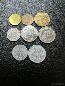 Mince z Poland