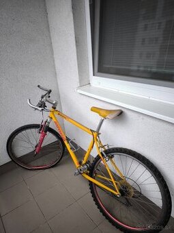 Starsi bicykel Author