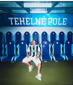 Separ - Tehelné pole 1x lístok