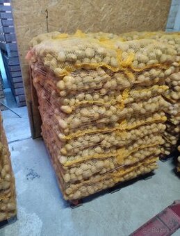 Zemiaky, cibuľa, rezaná kapusta, jabĺčka