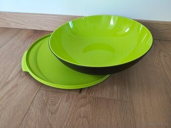 Tupperware misa Alegra