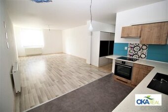 Na prenájom 1 izbový byt v Dolnom Kubíne