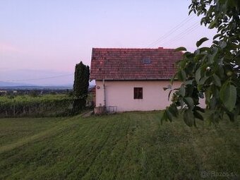 Vinica s hajlochom, Vrable