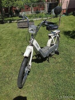 Kúpim/vymením Jawa mustang,pionier,20,23