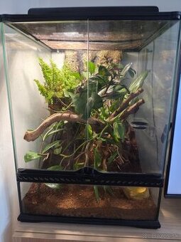 Terarium + pagekon 3ks