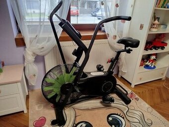 AirBike inSPORTline Lite