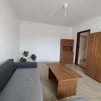 Prenajmem 1-izbový byt na Sihoti (s komunitnou záhradou)