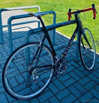 Storck Scenario C 1.1 karbón