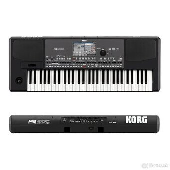 Korg pa 600