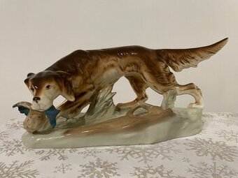 Royal dux - poľovnícky pes